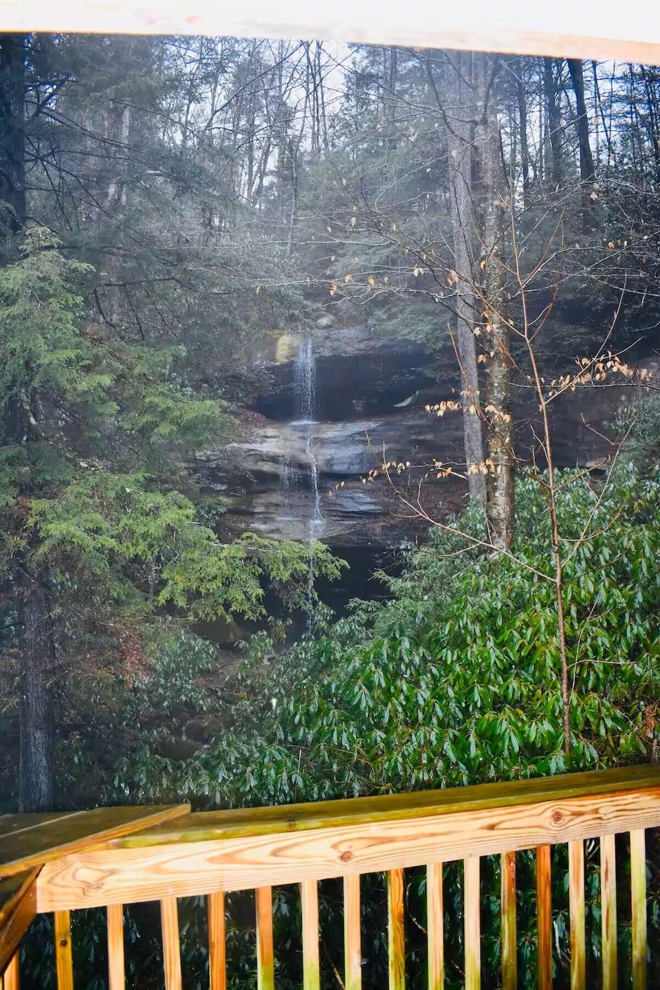 1215dbd9-9ead-4d64-bd3f-2accf44391ed (1)