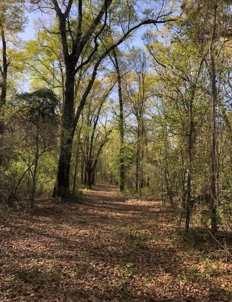 00 Research Rd, Camilla, GA 31730 - photo 1