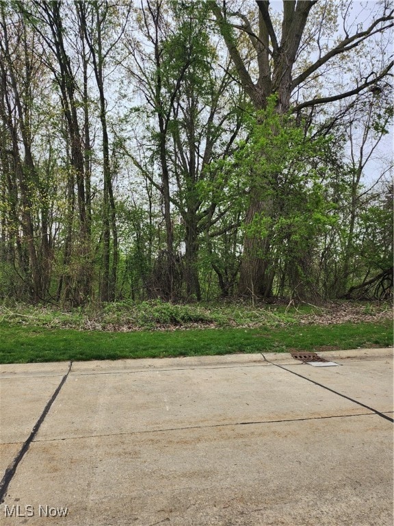 0 Stonebridge Dr, Amherst, OH 44001 - photo 1