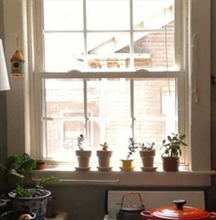 18 Clinton St unit 3, Cambridge, MA 02139 - photo 1