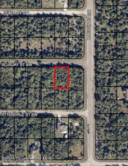 814 Bluejay St, Palm Bay, FL 32908 - photo 1