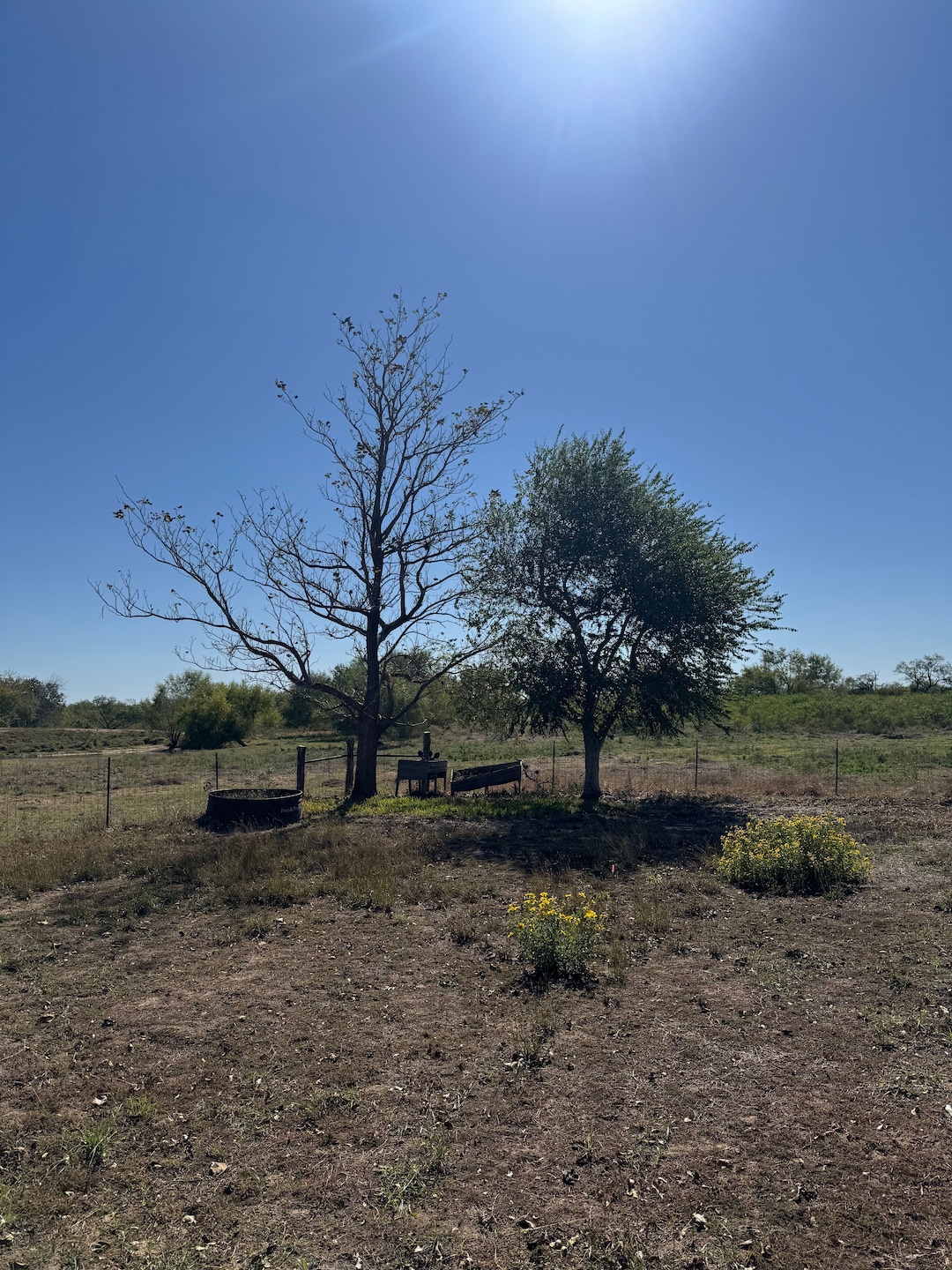 7414 U S 281, Pleasanton, TX 78064 - photo 1