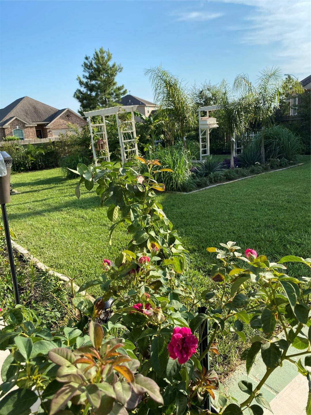 20403 Sir Penguin Dr, Hockley, TX 77447 - photo 1