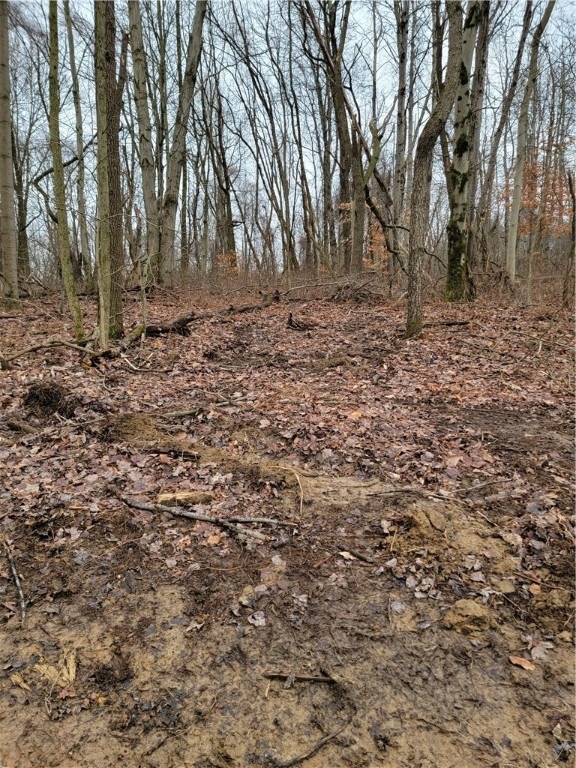 Lot 3 Vance Dr, Smith, PA 15021 - photo 1