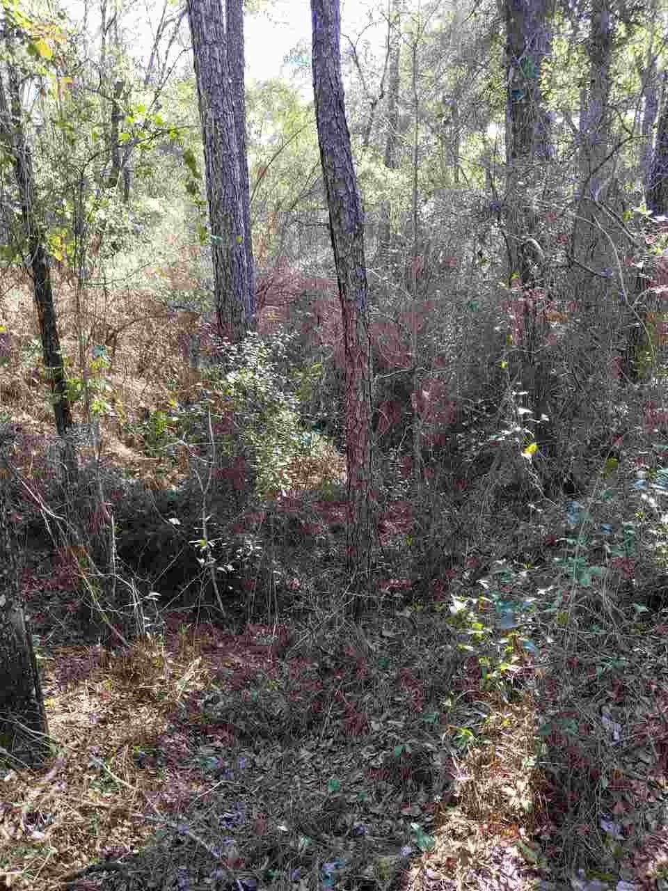 0 Decey Wallace Ln unit 301709, Crawfordville, FL 32327 - photo 1