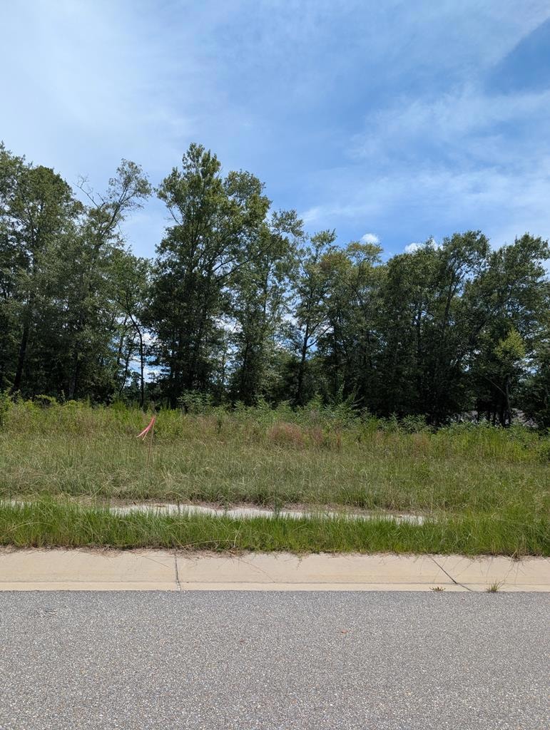 329 Grand Harbor Cir, Dothan, AL 36303 - photo 1