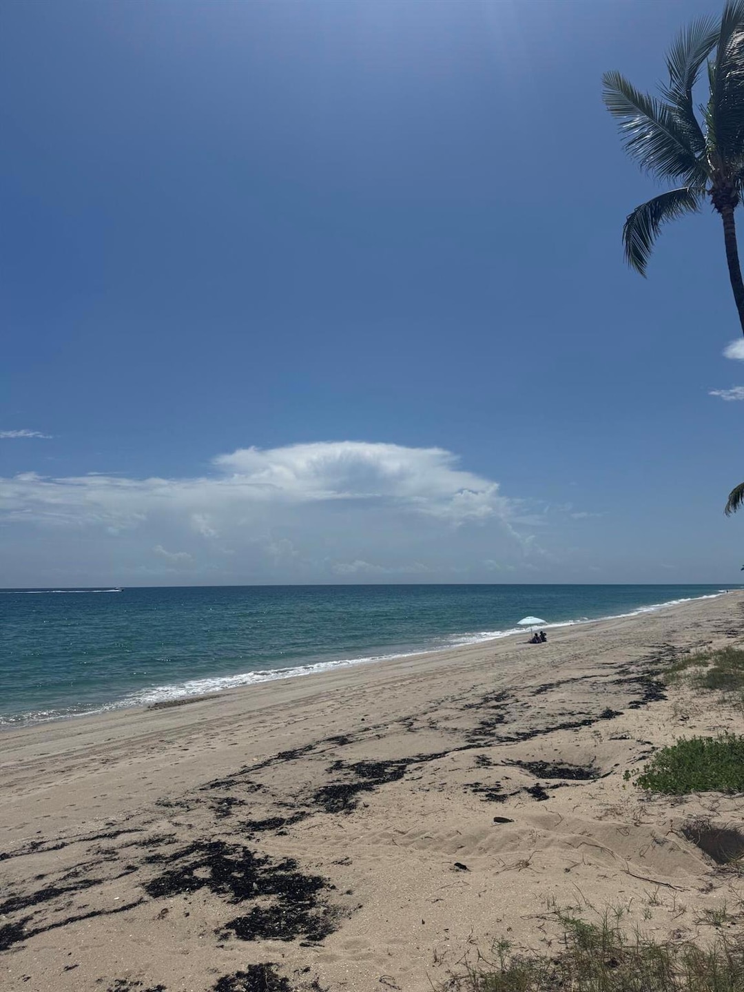 Sold $3,825,000 • Co-Listing Agent