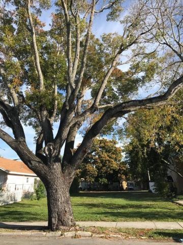 619 32nd St, West Palm Beach, FL 33407 - photo 1