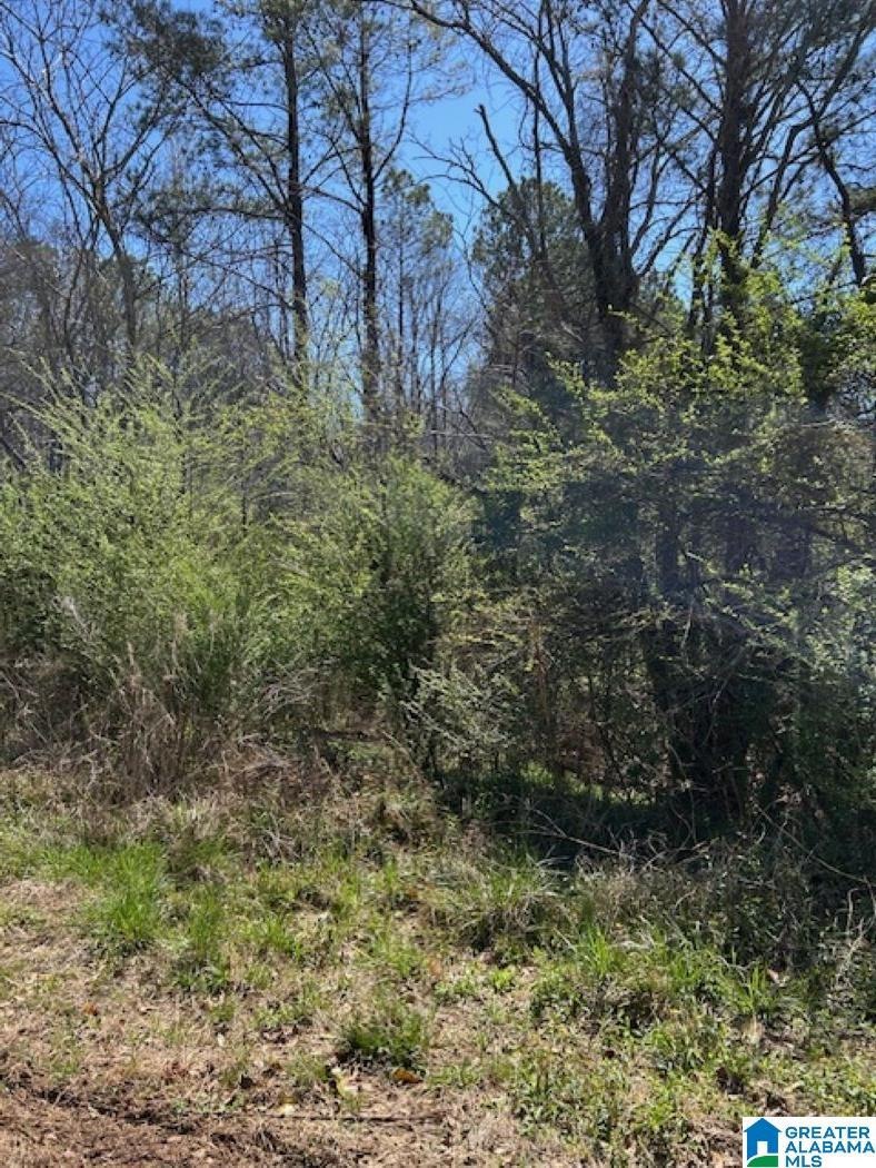 0 Cathedral Ln unit 4 21413575, Mc Calla, AL 35111 - photo 1