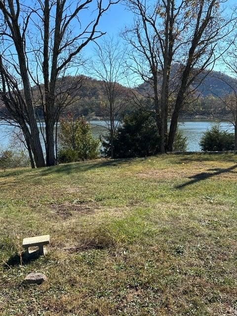 246 Boat Dock Rd, Mooresburg, TN 37811 - photo 1