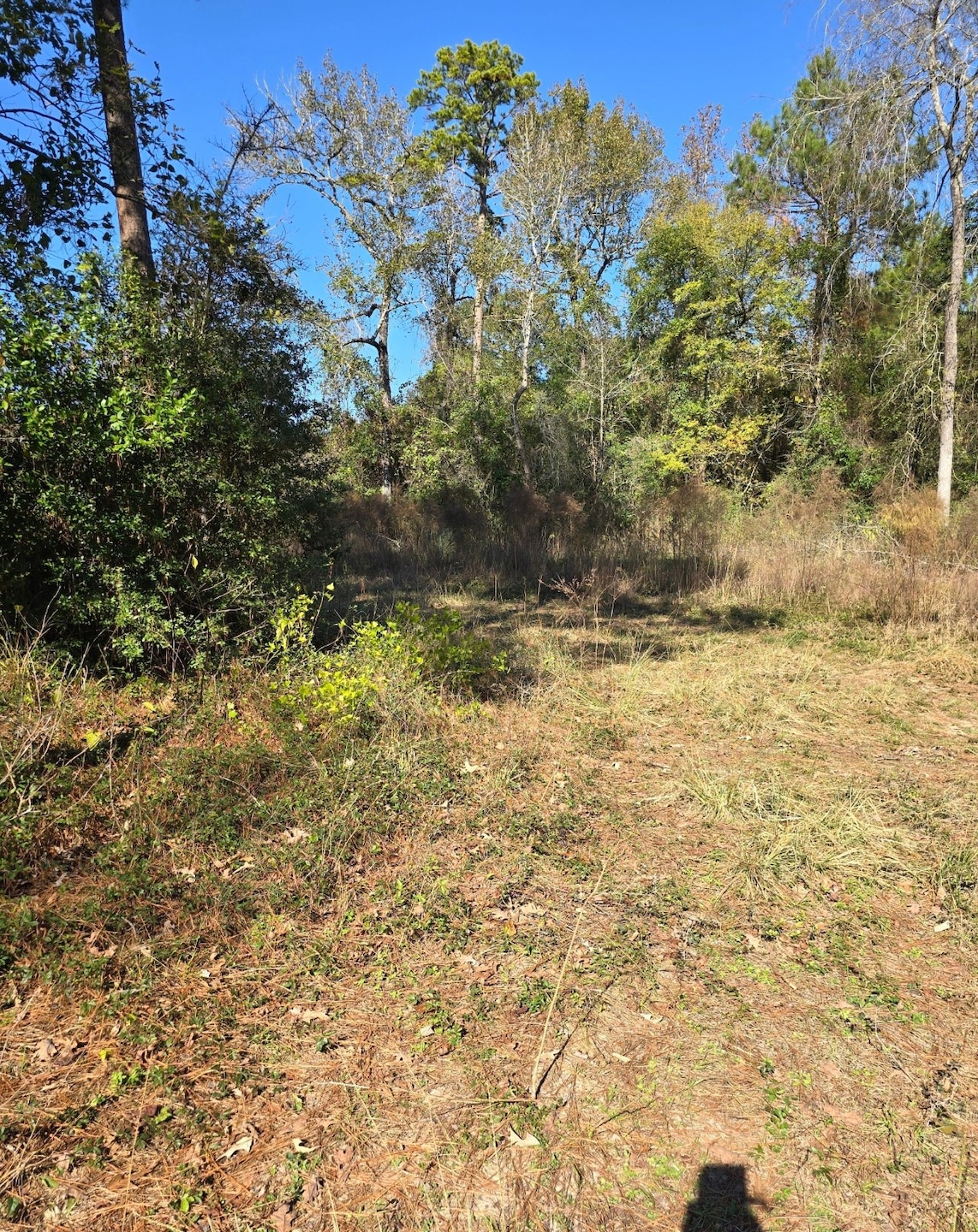 10287 Wanda Ln, Montgomery, TX 77316 - photo 1