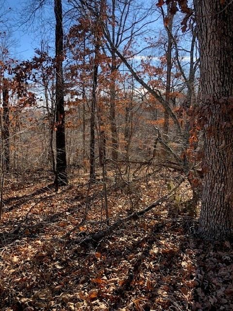 0 York (Leeds Ln) Dr unit 1100620, Bella Vista, AR 72714 - photo 1