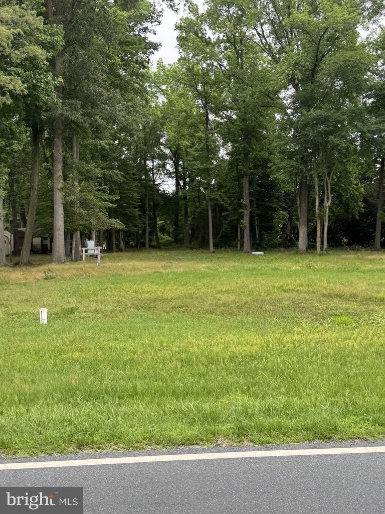 14073 Old Furnace Rd, Georgetown, DE 19947 - photo 1