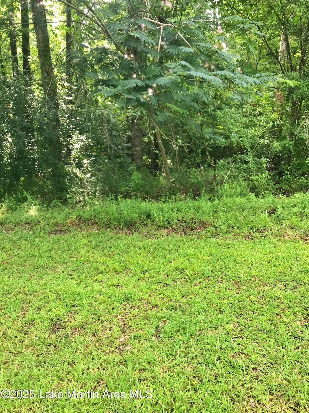 Land1