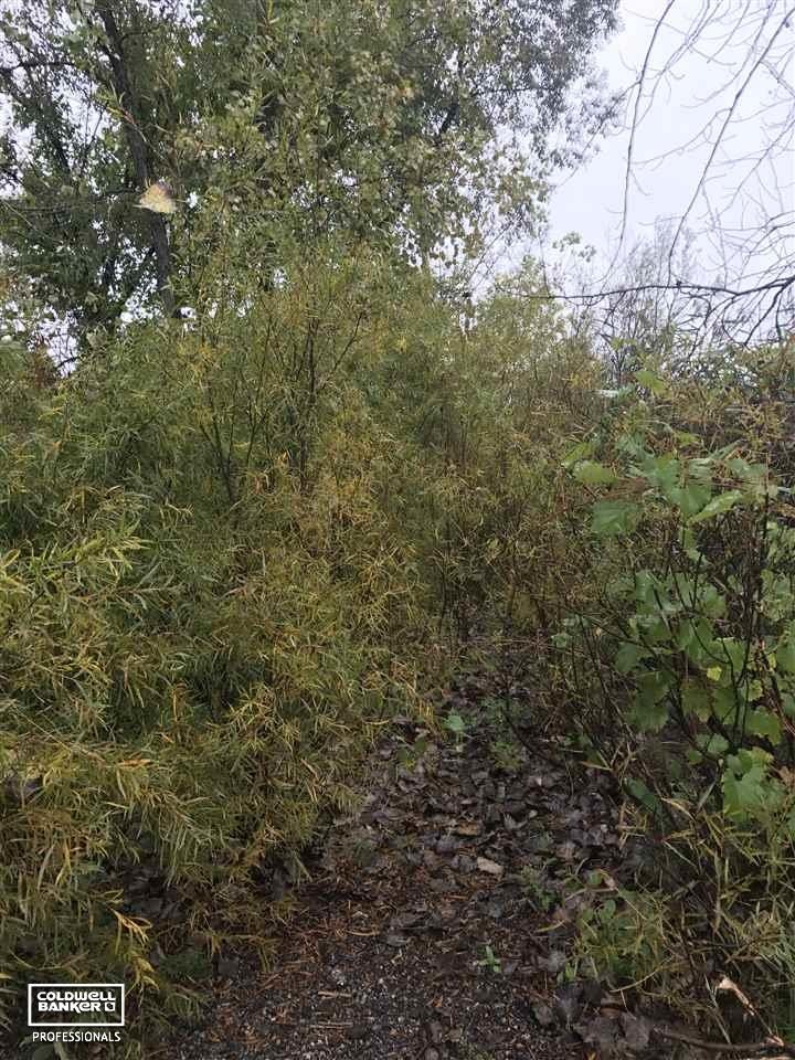 This is a view of the property.