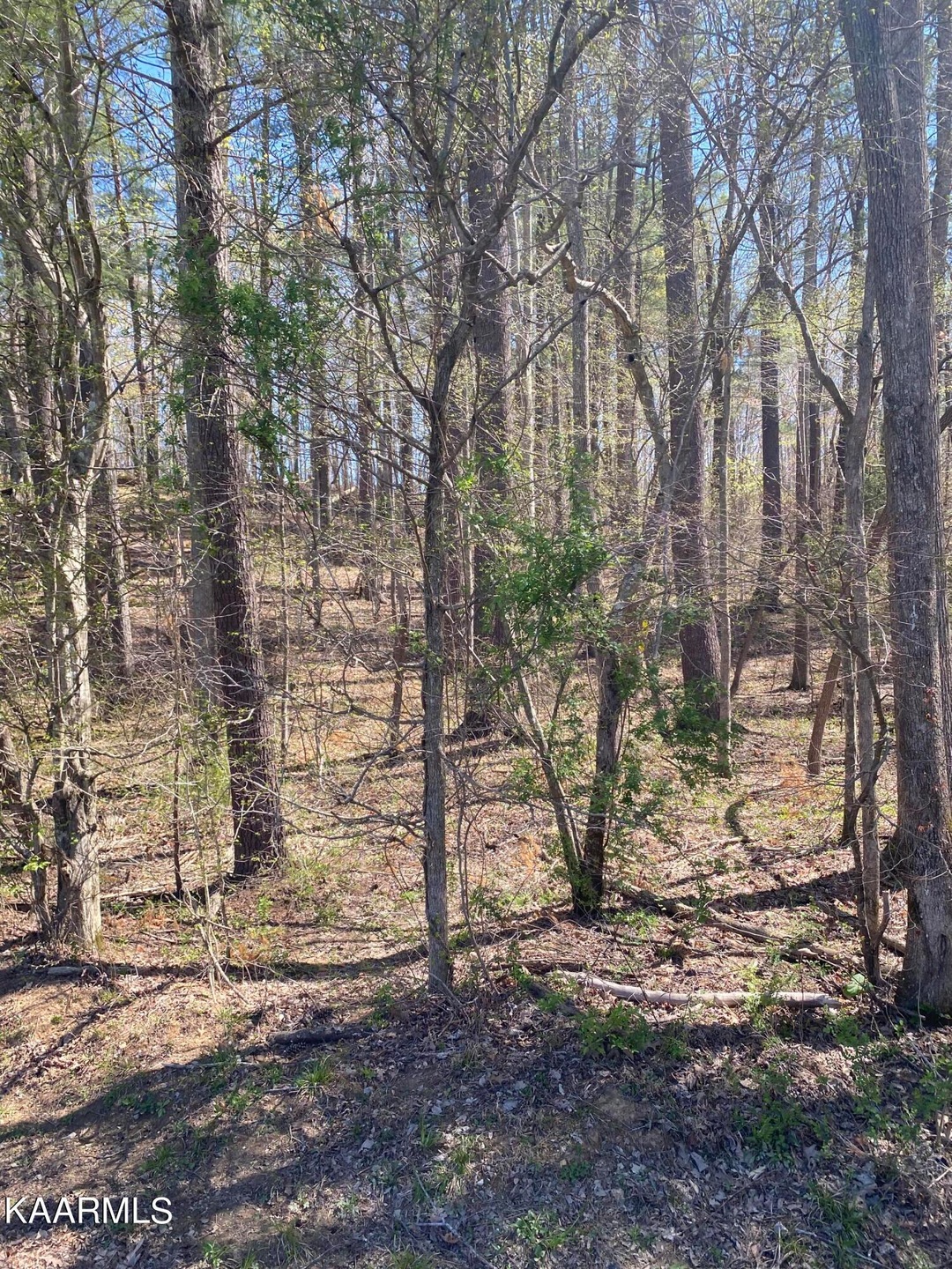 D88A0E09-DE43-4CB6-868E-0C2C81FF327B