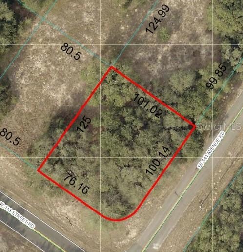 0 SE 113 St Rd unit MFROM705813, Ocklawaha, FL 32179 - photo 1