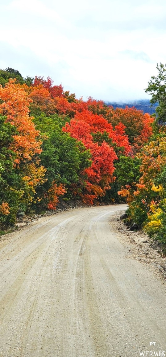 View of dirt / gravel road with a view of trees