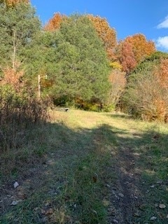 2212 U S 41a, Shelbyville, TN 37160 - photo 1