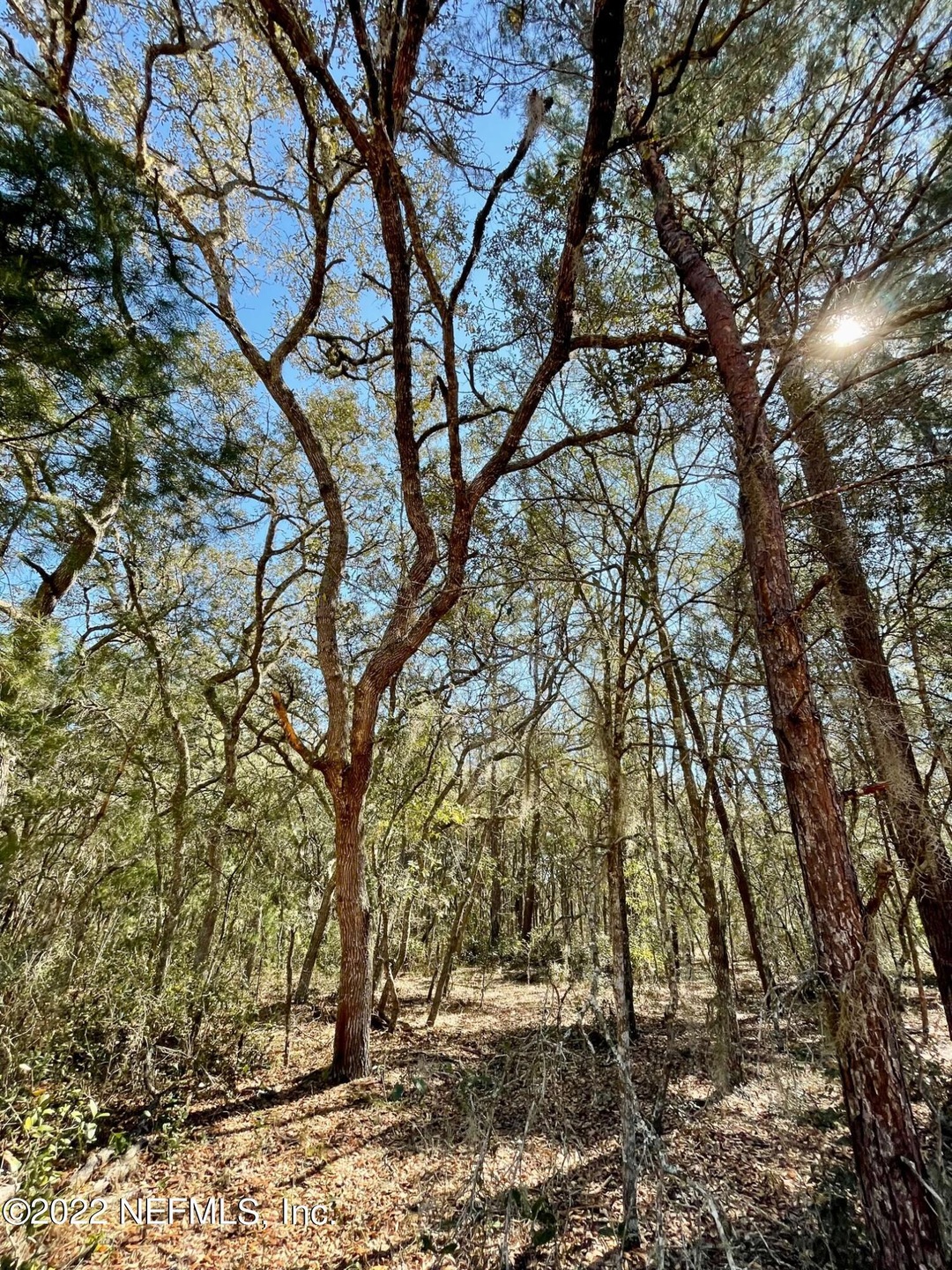 0 Usina unit 1159344, Interlachen, FL 32148 - photo 1