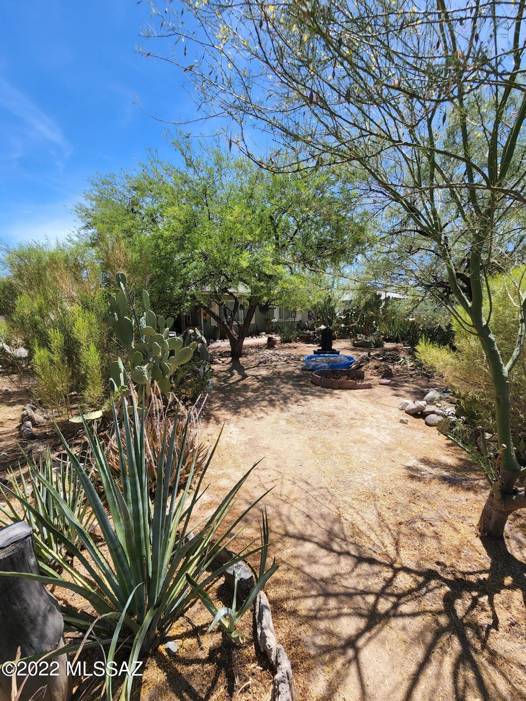 Front Yard