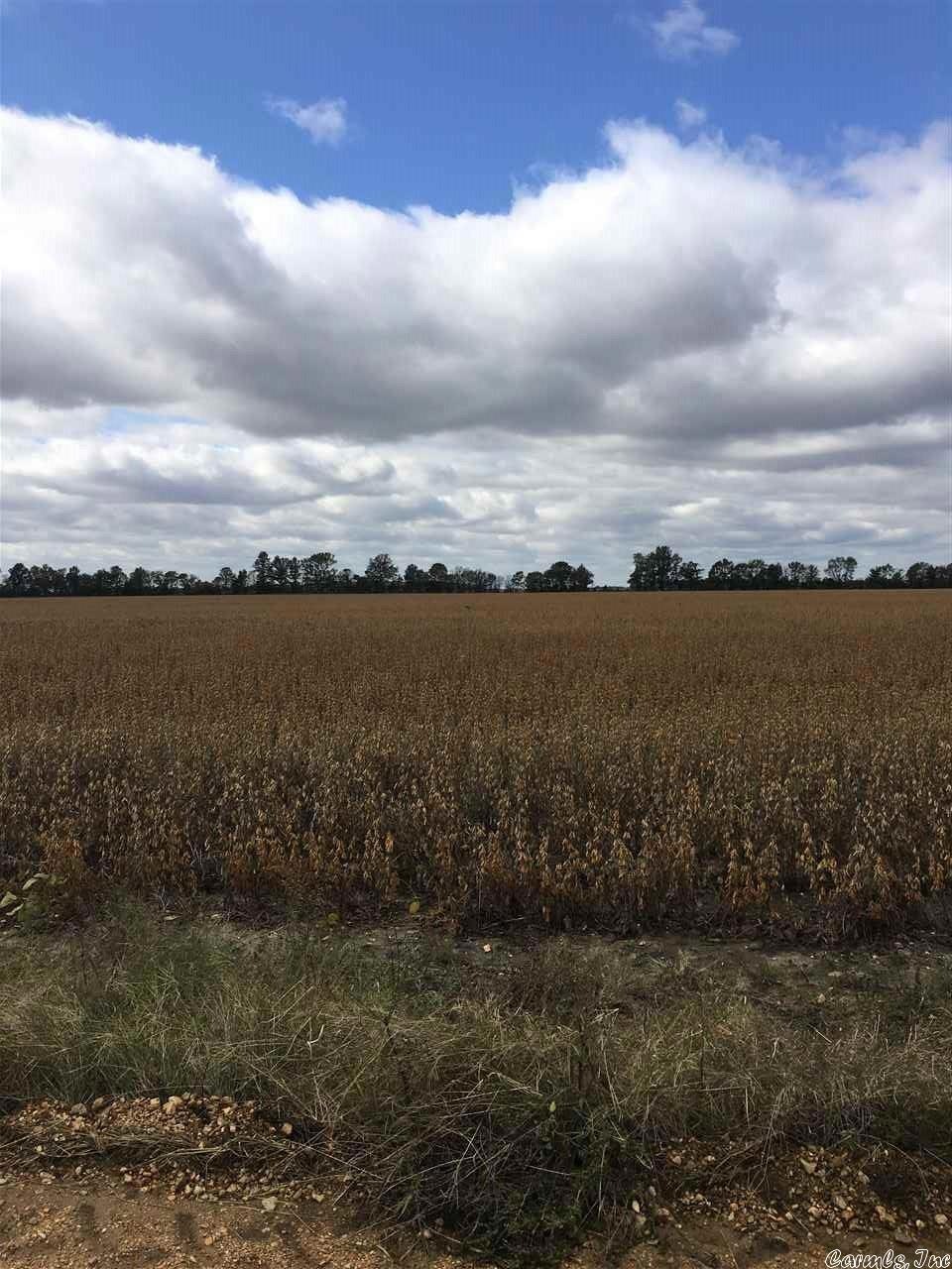 39 Acres Greene Road 224, Paragould, AR 72412 - photo 1