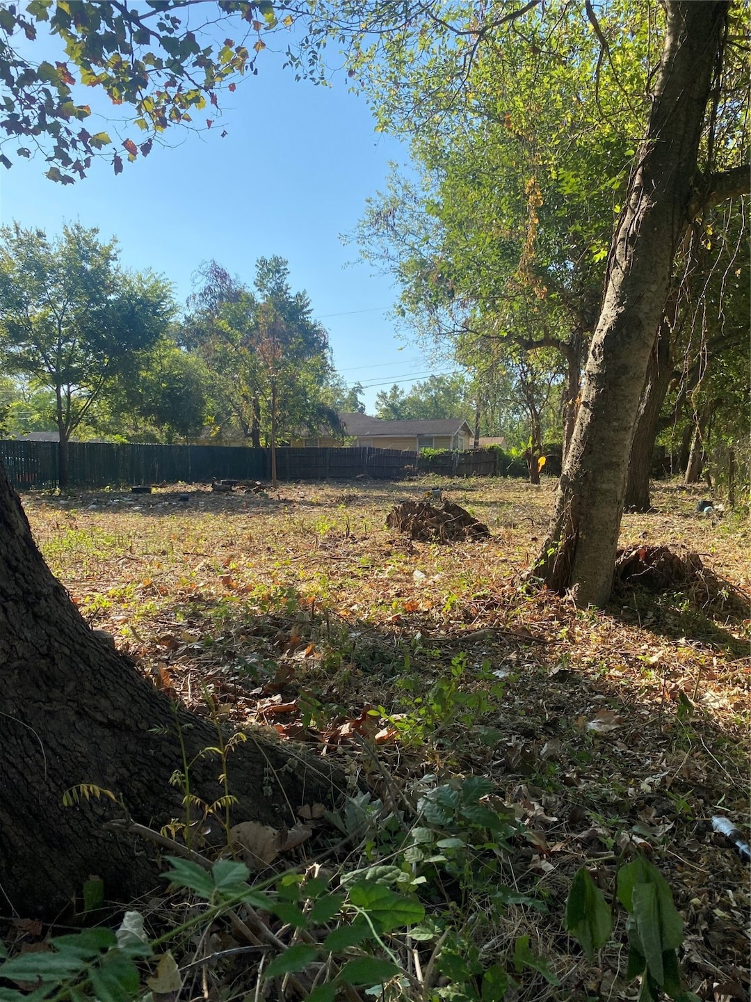 2418 Margaret St, Houston, TX 77093 - photo 1