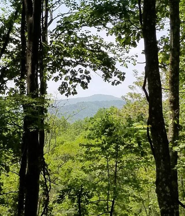 LOT 38 Blandemar Dr, Samuel Miller, VA 22903 - photo 1