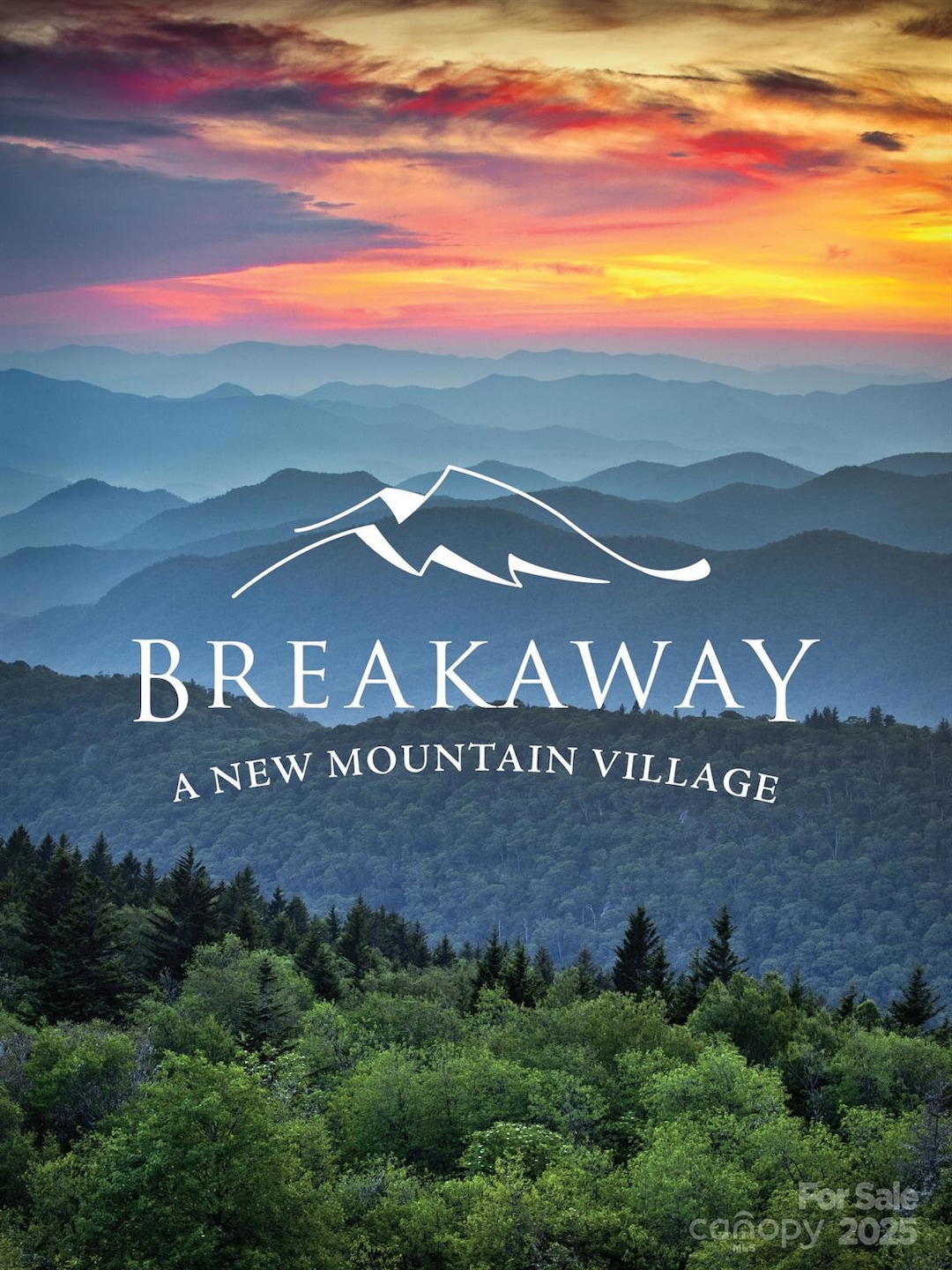 Lot 28 Breakaway Trail S unit 28, Mars Hill, NC 28754 - photo 1