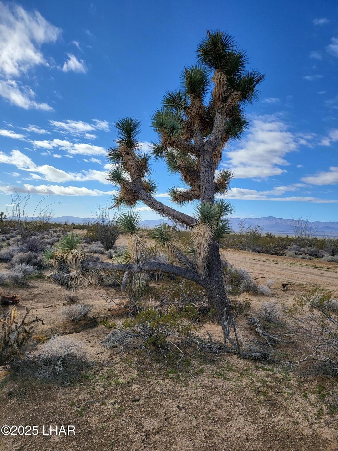 For Sale $28,000 • Co-Listing Agent