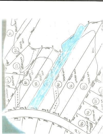 89 - Lot Sleepy Hollow Rd, Athens, NY 12015 - photo 1