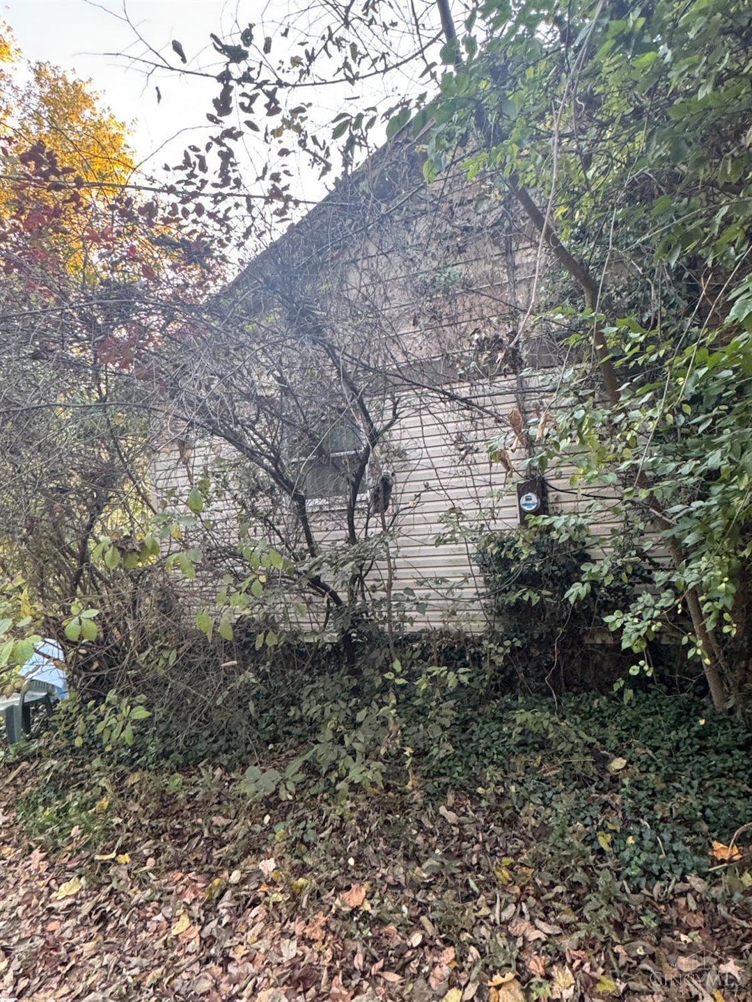 274 Chambliss Rd, Bainbridge, OH 45612 - photo 1