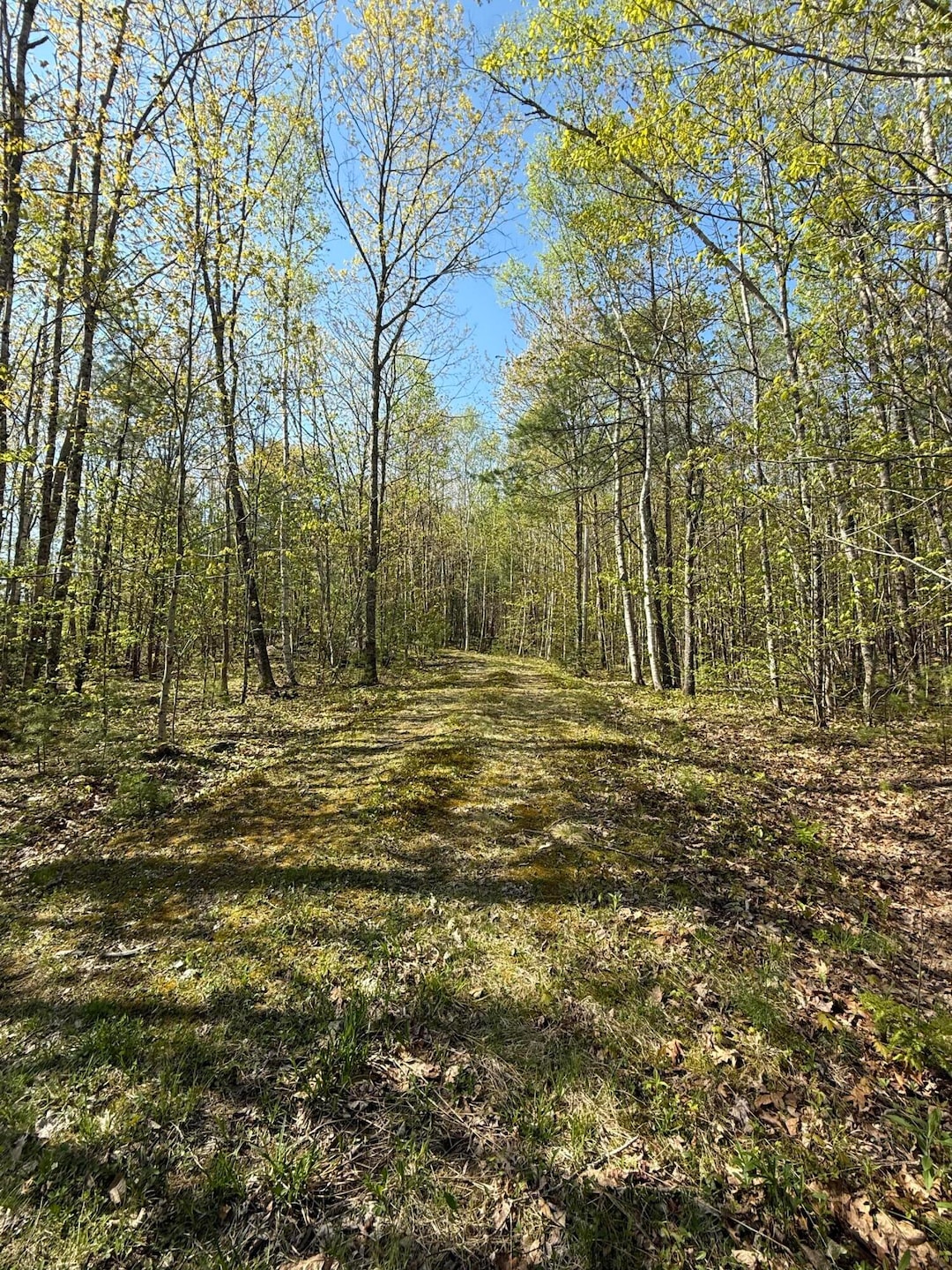 For Sale $95,000 • Co-Listing Agent