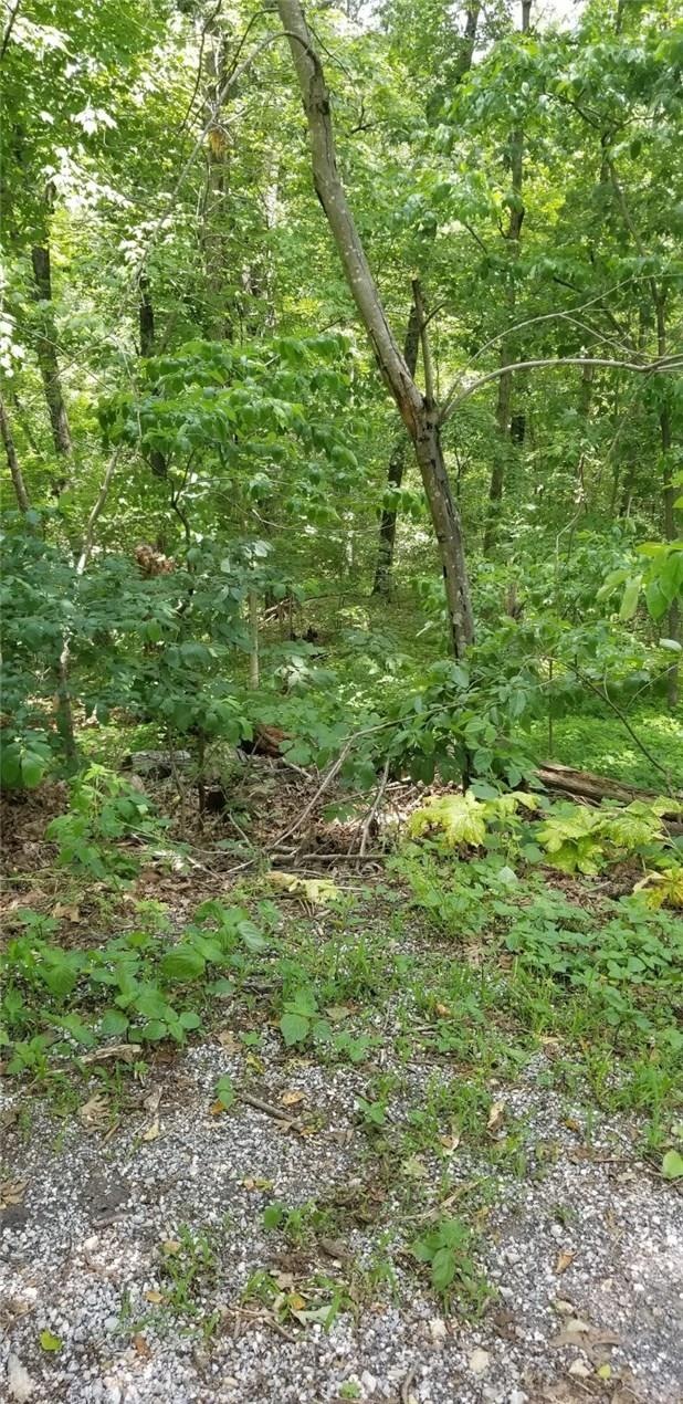 0 Kevin Ln unit 1148645, Bella Vista, AR 72715 - photo 1