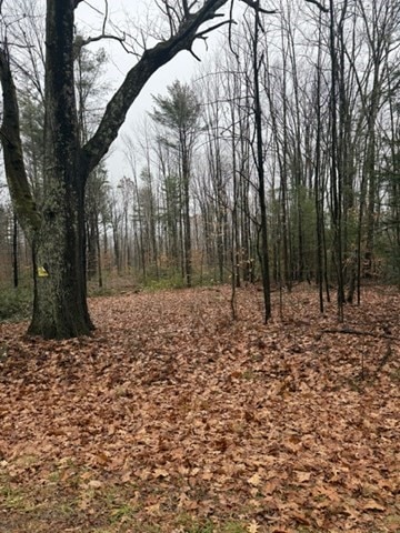 0 Wendell Depot Rd, Wendell, MA 01379 - photo 1