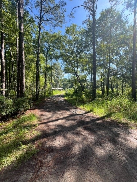 Current entrance to property