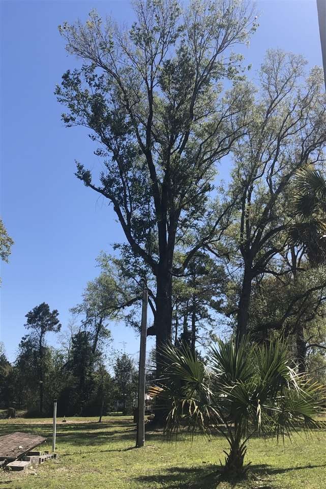 1451 Old Woodville Rd, Crawfordville, FL 32327 - photo 1