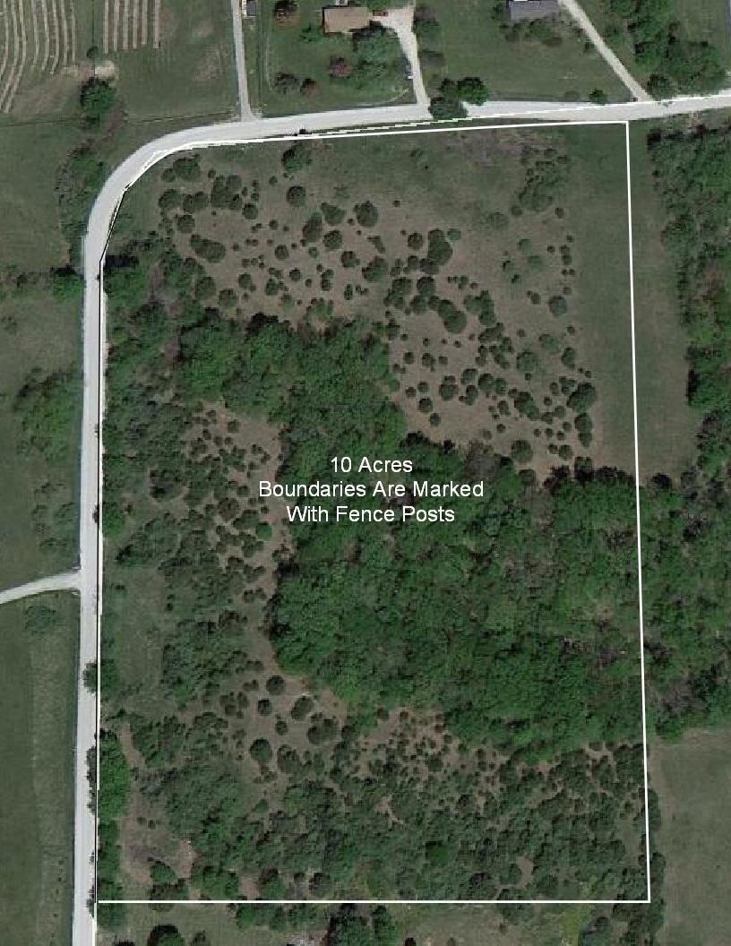 bluebird aerial identified