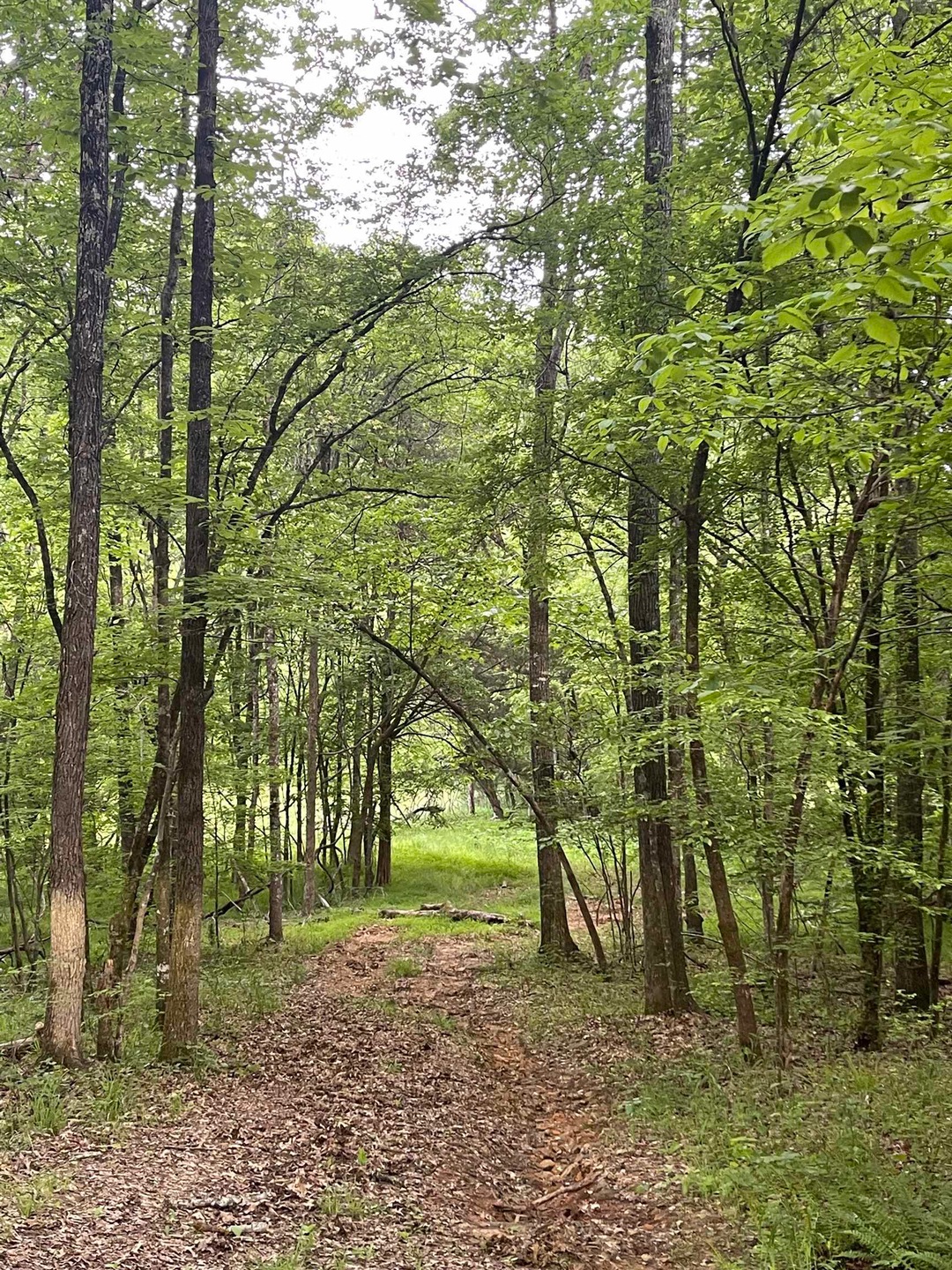 811 Pondfield Rd, Gaffney, SC 29340 - photo 1