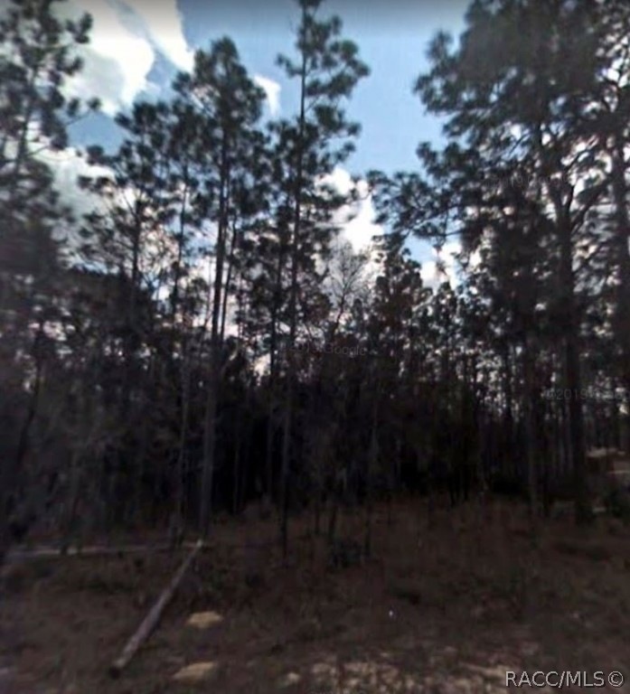 3748 W Lappula Ln, Citrus Springs, FL 34433 - photo 1