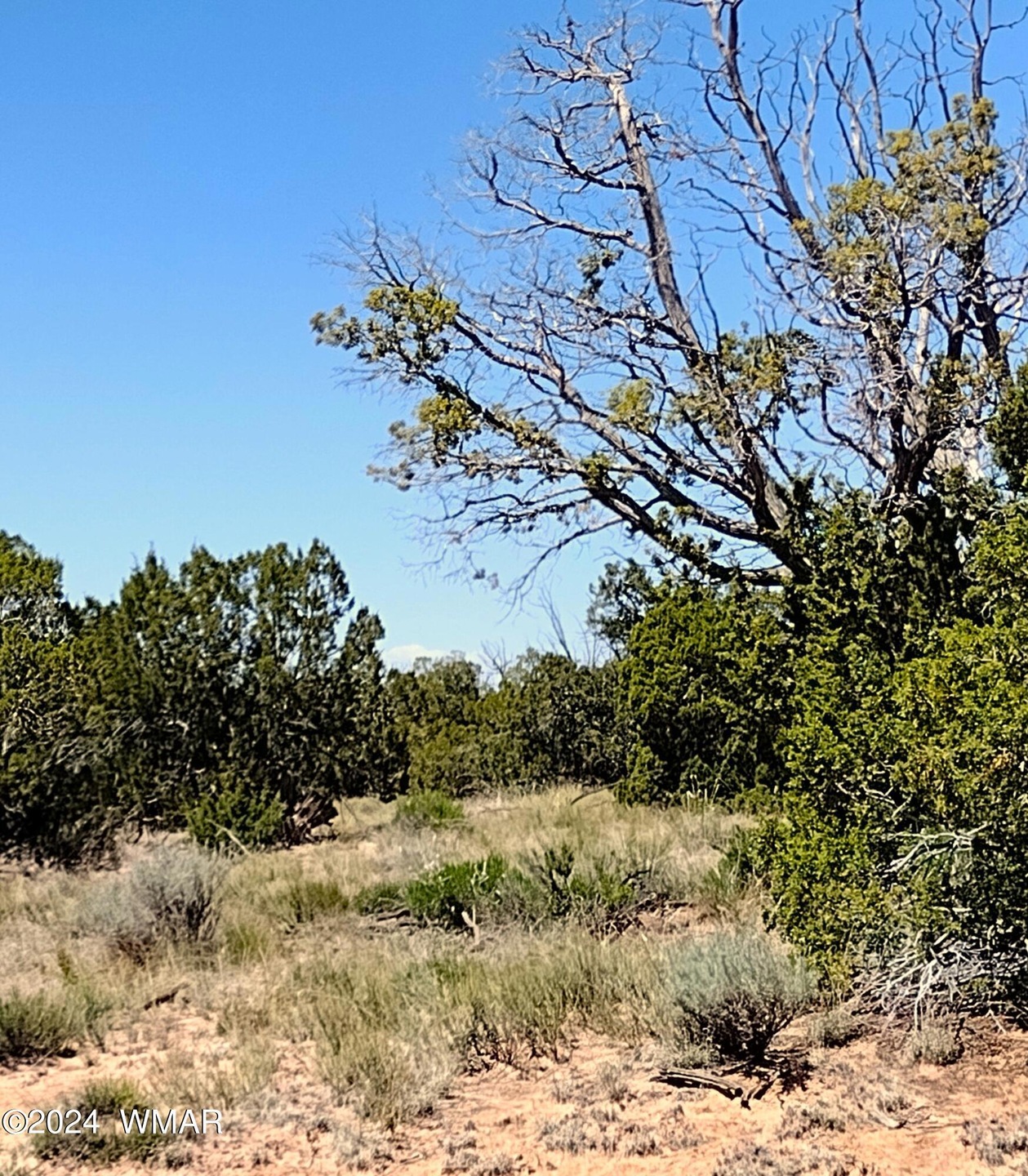 view lot