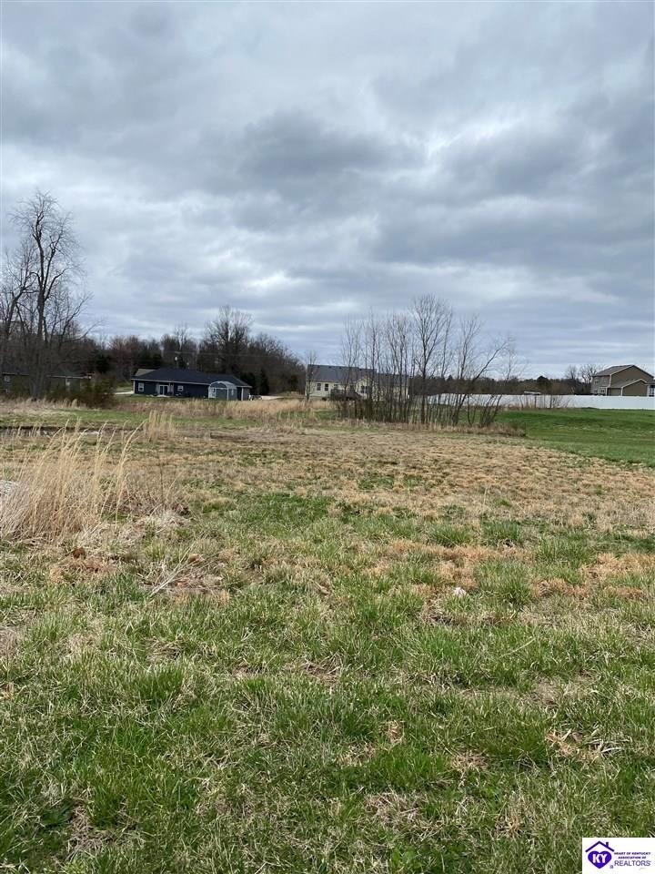 Lot 41 N Antelope Ct, Rineyville, KY 40162- Homes.com