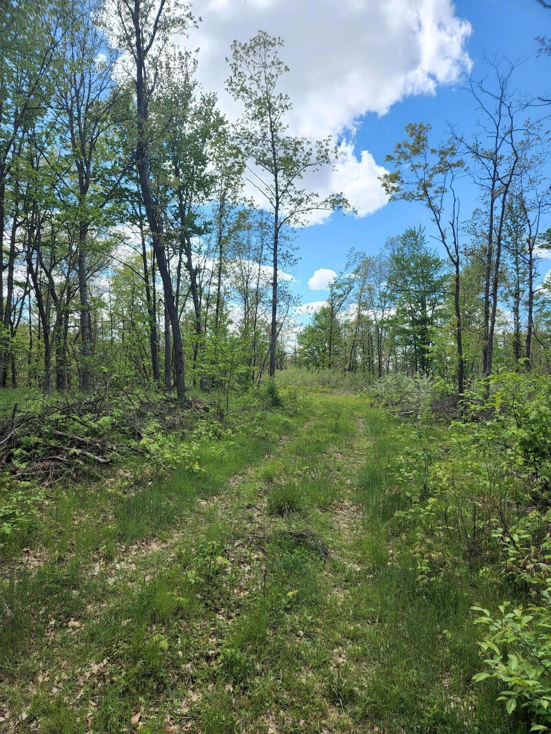 9577 N Woodbridge Dr Ave, Bitely, MI 49309 - photo 1