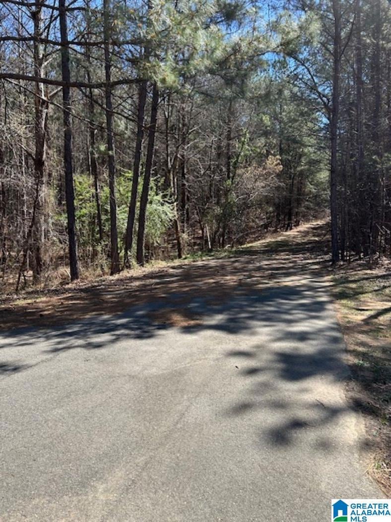 0 Kensington Blvd unit 21413574, McCalla, AL 35111 - photo 1