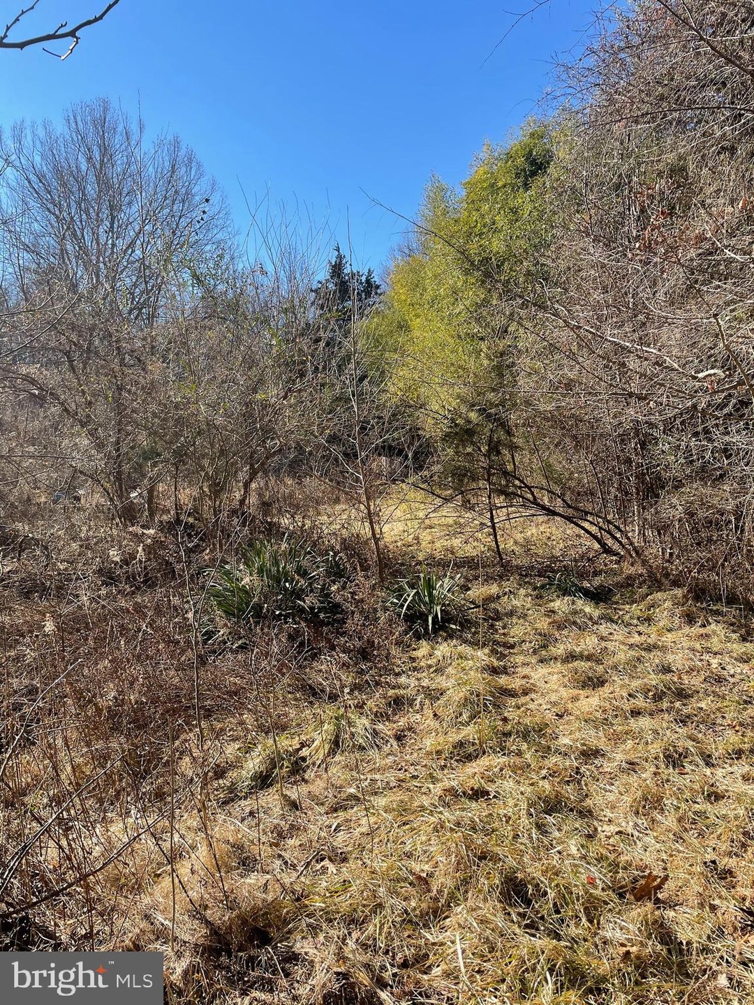 391 Joshua Rd, Stafford, VA 22556 - photo 1