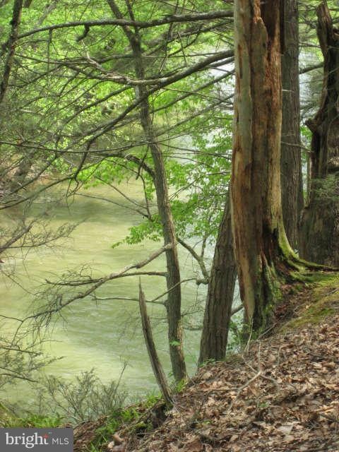 0 Bass Ln unit 1003508374, Winchester, VA 22603 - photo 1