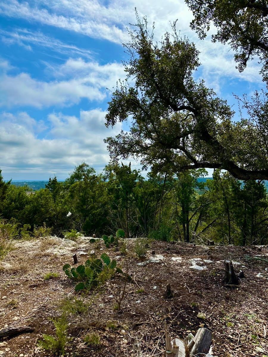 View of nature