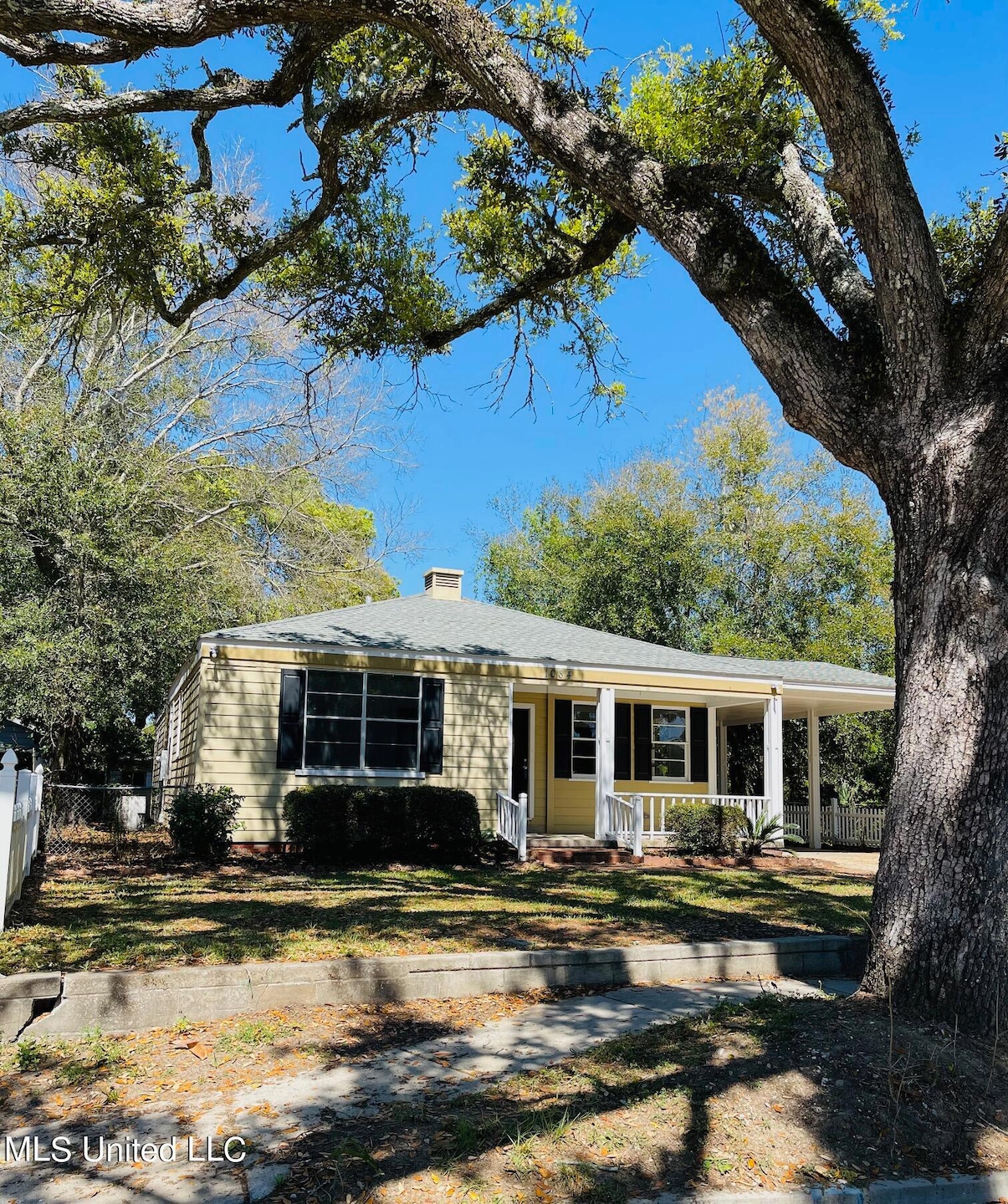 front view with Oak