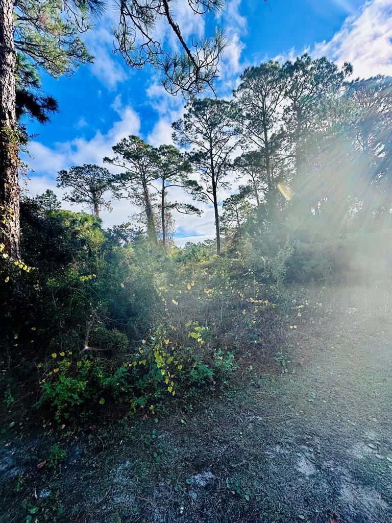 120 Laughing Gull Ln, Carrabelle, FL 32322 - photo 1