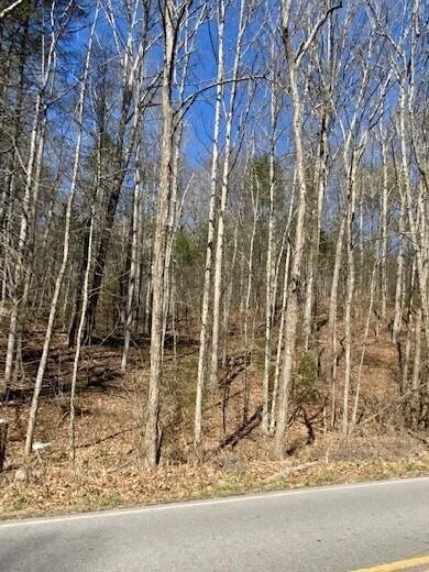 00 Bradshaw Rd